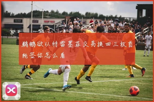 鹈鹕欲以特雷墨菲交易换回三枚首轮签你怎么看